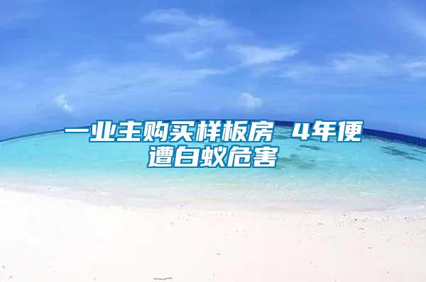 一業(yè)主購(gòu)買樣板房 4年便遭白蟻危害