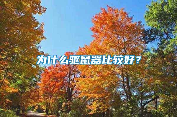 為什么驅(qū)鼠器比較好？