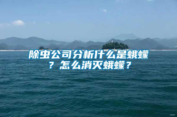 除蟲公司分析什么是蛾蠓？怎么消滅蛾蠓？