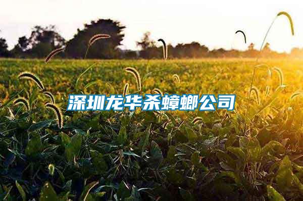 深圳龍華殺蟑螂公司