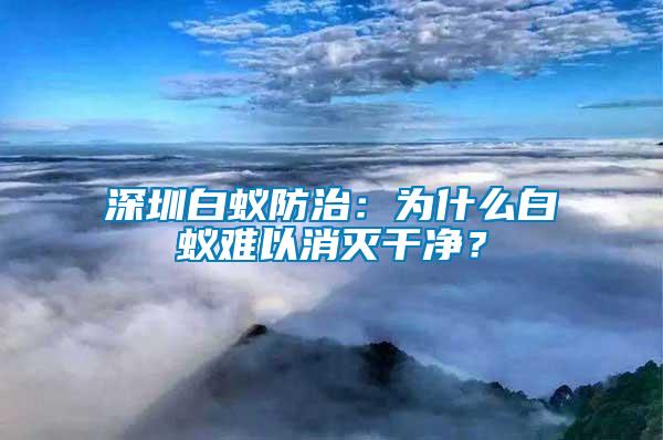 深圳白蟻防治：為什么白蟻難以消滅干凈？