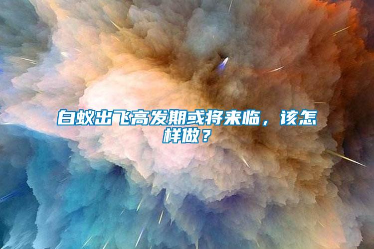 白蟻出飛高發(fā)期或?qū)砼R，該怎樣做？