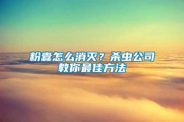 粉蠹怎么消滅？殺蟲公司教你最佳方法