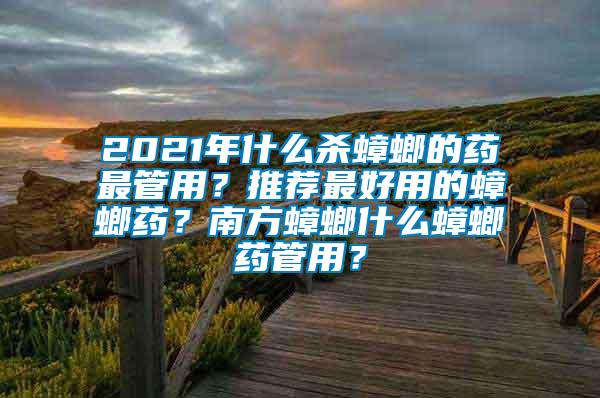 2021年什么殺蟑螂的藥最管用？推薦最好用的蟑螂藥？南方蟑螂什么蟑螂藥管用？