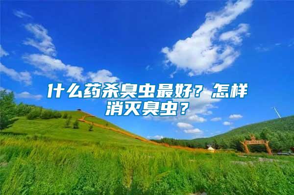 什么藥殺臭蟲最好？怎樣消滅臭蟲？