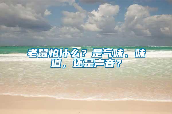 老鼠怕什么？是氣味、味道，還是聲音？