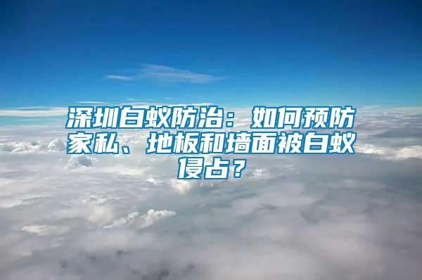 深圳白蟻防治：如何預防家私、地板和墻面被白蟻侵占？