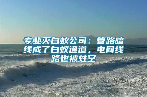 專業(yè)滅白蟻公司：管路暗線成了白蟻通道，電網(wǎng)線路也被蛀空