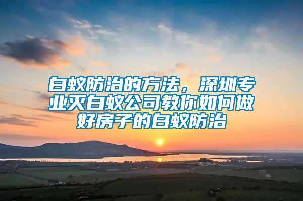 白蟻防治的方法，深圳專業(yè)滅白蟻公司教你如何做好房子的白蟻防治