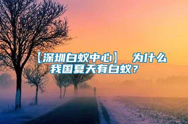 【深圳白蟻中心】 為什么我國夏天有白蟻？