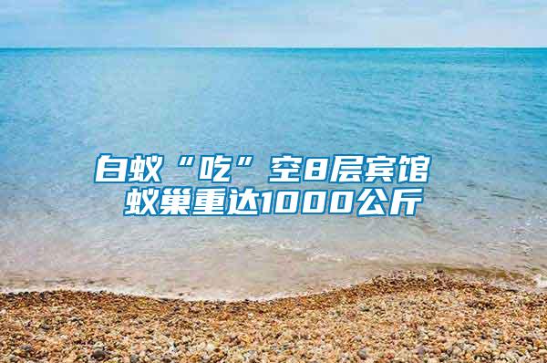 白蟻“吃”空8層賓館 蟻巢重達1000公斤