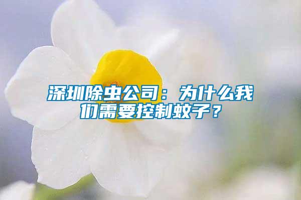 深圳除蟲公司：為什么我們需要控制蚊子？