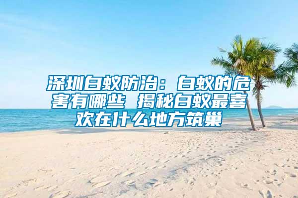 深圳白蟻防治：白蟻的危害有哪些 揭秘白蟻?zhàn)钕矚g在什么地方筑巢