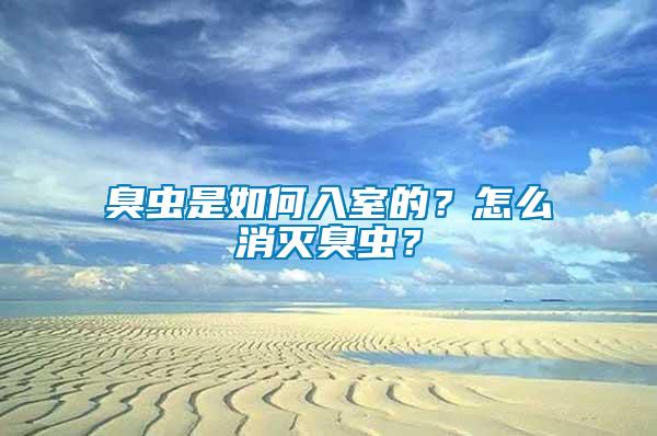 臭蟲是如何入室的？怎么消滅臭蟲？