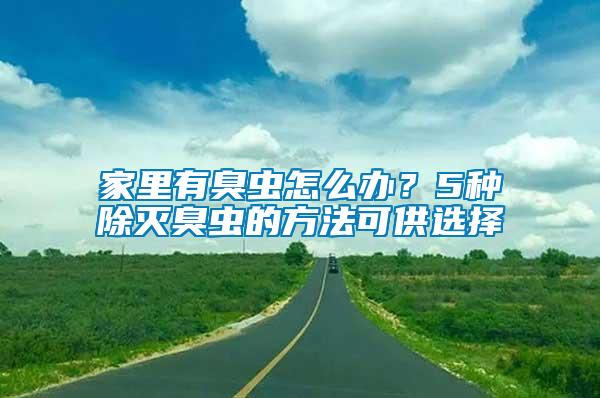 家里有臭蟲怎么辦？5種除滅臭蟲的方法可供選擇