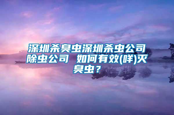 深圳殺臭蟲深圳殺蟲公司除蟲公司 如何有效(咩)滅臭蟲？