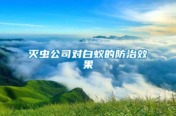 滅蟲(chóng)公司對(duì)白蟻的防治效果