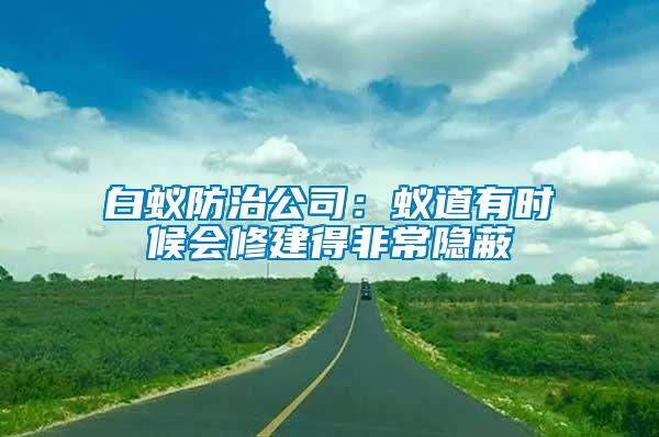 白蟻防治公司：蟻道有時候會修建得非常隱蔽