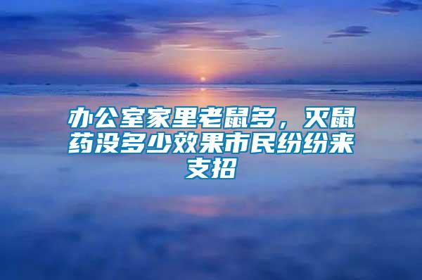 辦公室家里老鼠多，滅鼠藥沒多少效果市民紛紛來支招