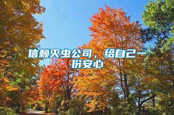 信賴滅蟲公司，給自己一份安心