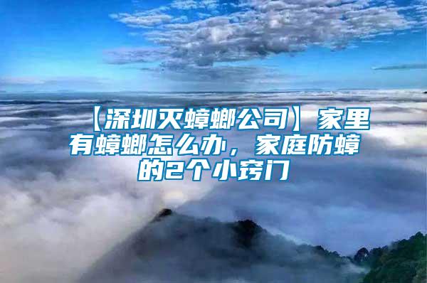 【深圳滅蟑螂公司】家里有蟑螂怎么辦，家庭防蟑的2個小竅門