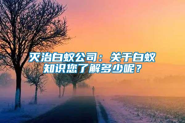 滅治白蟻公司：關(guān)于白蟻知識您了解多少呢？