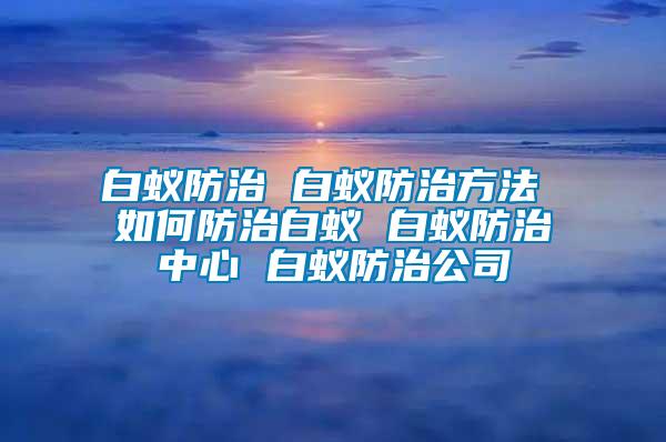 白蟻防治 白蟻防治方法 如何防治白蟻 白蟻防治中心 白蟻防治公司