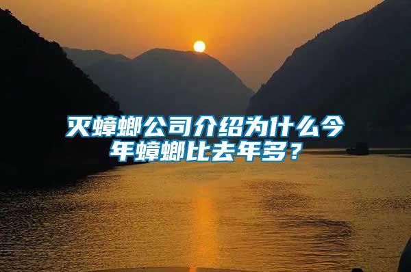 滅蟑螂公司介紹為什么今年蟑螂比去年多？