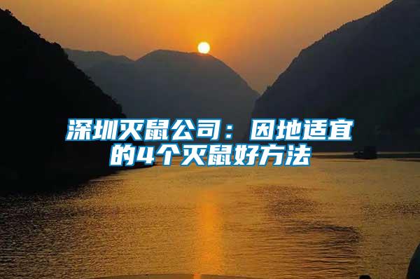 深圳滅鼠公司：因地適宜的4個滅鼠好方法