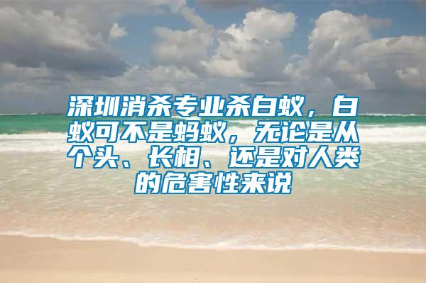 深圳消殺專業(yè)殺白蟻，白蟻可不是螞蟻，無論是從個(gè)頭、長相、還是對人類的危害性來說