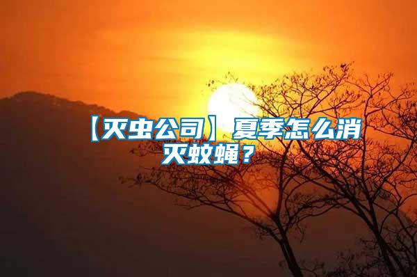 【滅蟲公司】夏季怎么消滅蚊蠅？