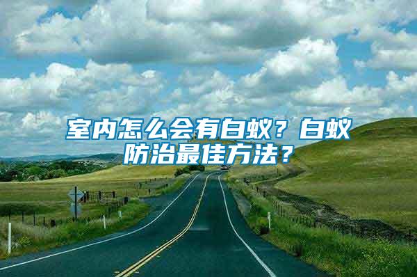 室內(nèi)怎么會有白蟻？白蟻防治最佳方法？