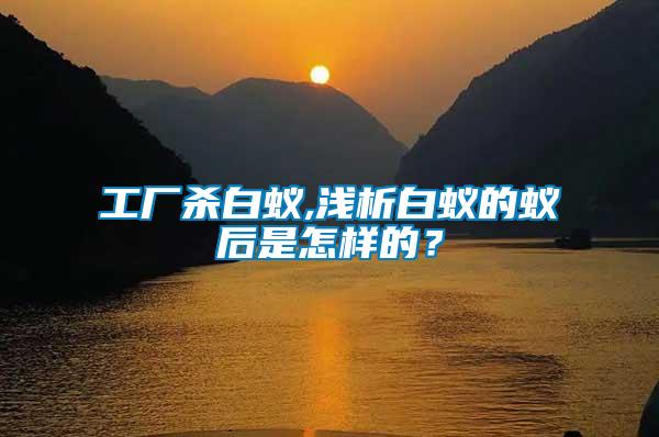 工廠殺白蟻,淺析白蟻的蟻后是怎樣的？