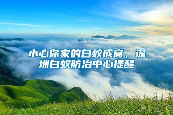 小心你家的白蟻成窩，深圳白蟻防治中心提醒