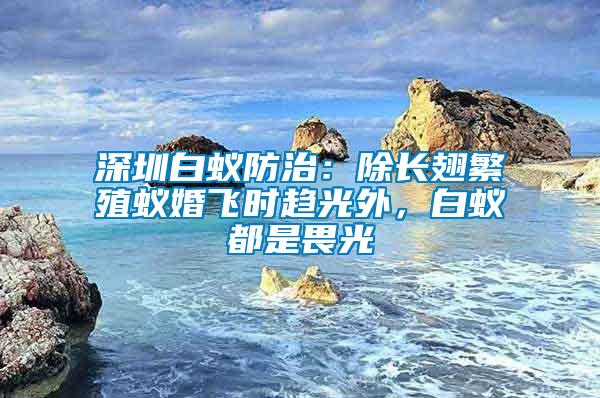 深圳白蟻防治：除長(zhǎng)翅繁殖蟻婚飛時(shí)趨光外，白蟻都是畏光