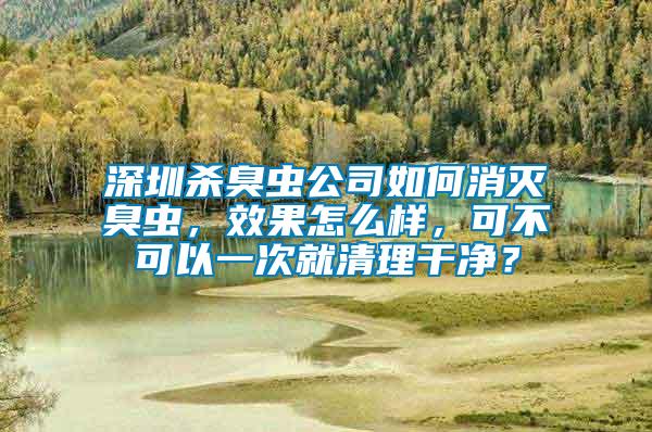 深圳殺臭蟲公司如何消滅臭蟲，效果怎么樣，可不可以一次就清理干凈？