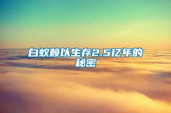 白蟻賴以生存2.5億年的秘密