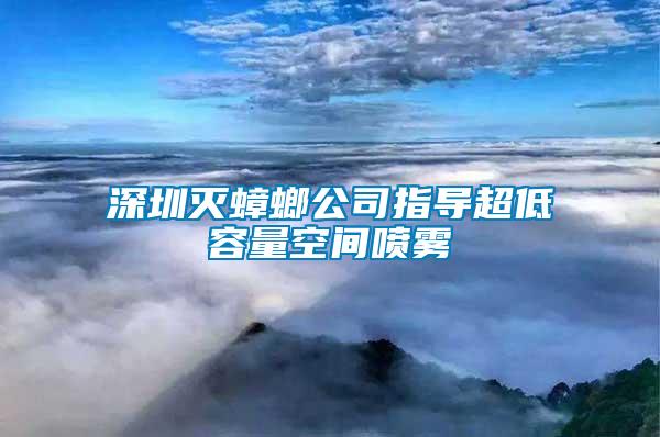 深圳滅蟑螂公司指導(dǎo)超低容量空間噴霧