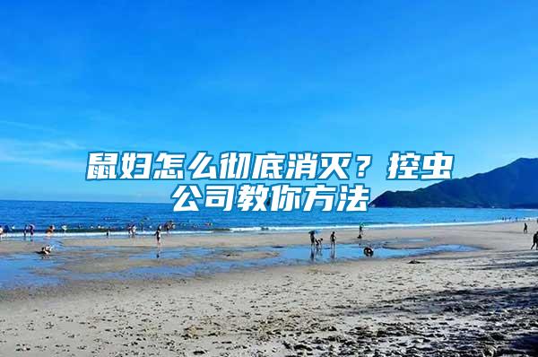 鼠婦怎么徹底消滅？控蟲公司教你方法