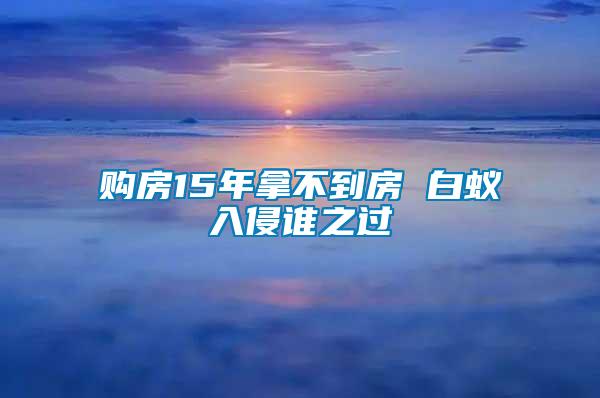 購房15年拿不到房 白蟻入侵誰之過