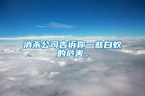 消殺公司告訴你一些白蟻的危害。