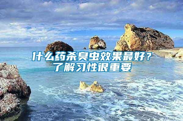 什么藥殺臭蟲效果最好？了解習性很重要