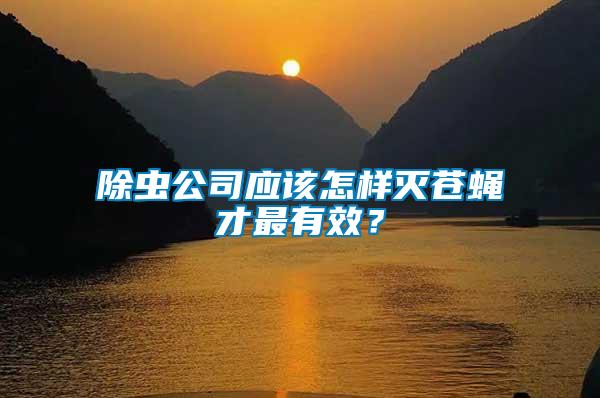 除蟲公司應(yīng)該怎樣滅蒼蠅才最有效？