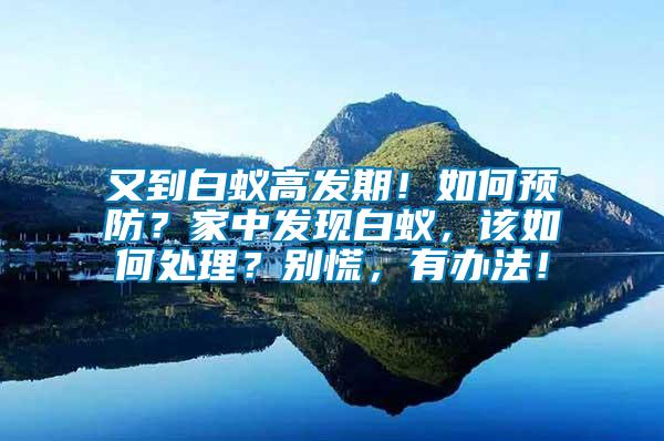 又到白蟻高發(fā)期！如何預(yù)防？家中發(fā)現(xiàn)白蟻，該如何處理？別慌，有辦法！