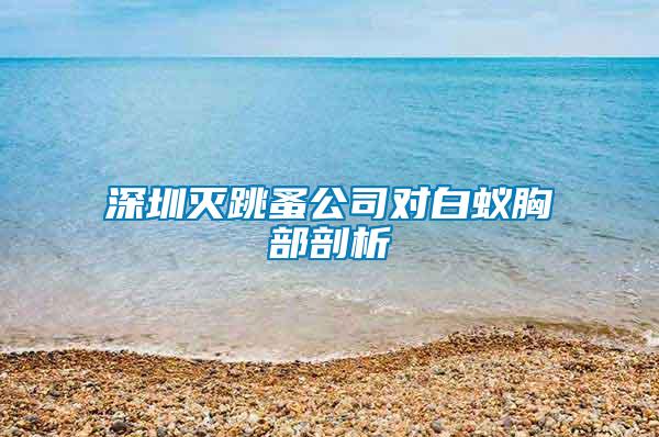 深圳滅跳蚤公司對(duì)白蟻胸部剖析