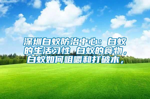 深圳白蟻防治中心：白蟻的生活習(xí)性 白蟻的食物，白蟻如何咀嚼和打破木，