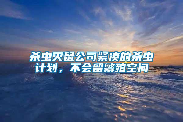 殺蟲(chóng)滅鼠公司緊湊的殺蟲(chóng)計(jì)劃，不會(huì)留繁殖空間