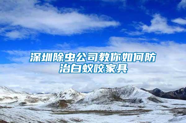 深圳除蟲公司教你如何防治白蟻咬家具