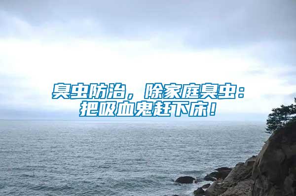 臭蟲防治，除家庭臭蟲：把吸血鬼趕下床！