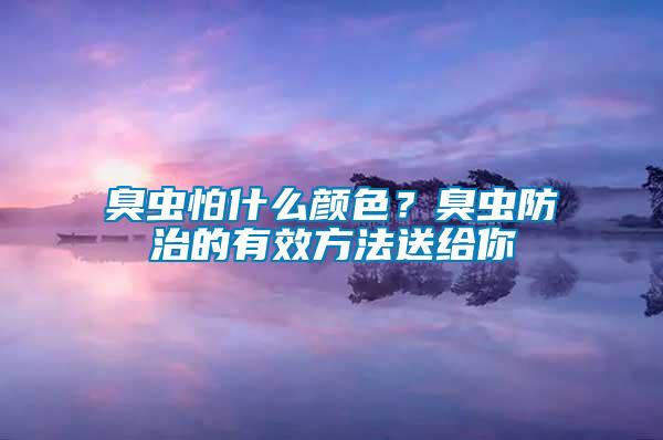 臭蟲怕什么顏色？臭蟲防治的有效方法送給你